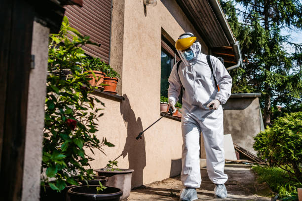 Best Local Pest Control Services  in Carlton, OR