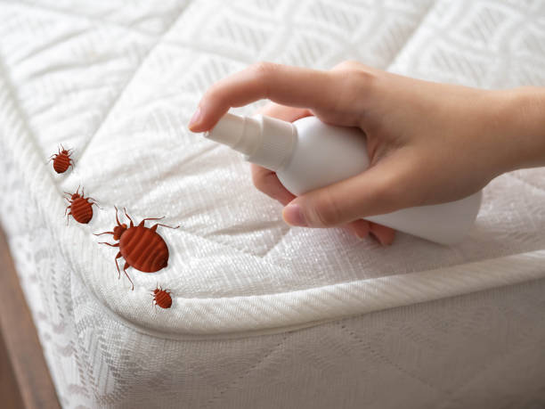 Best Pest Control Treatment  in Carlton, OR