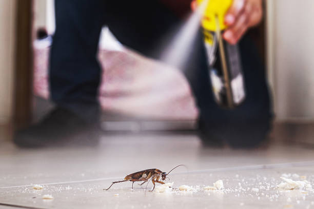 Best Emergency Pest Control  in Carlton, OR